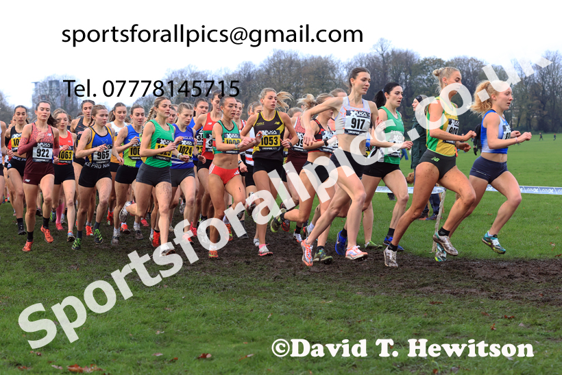 Senior Womens and Under-23s 2025 Liverpool Cross Challenge, Sefton Park, Saturday, November 22th. Photo: David T. Hewitson/Sports for All Pics